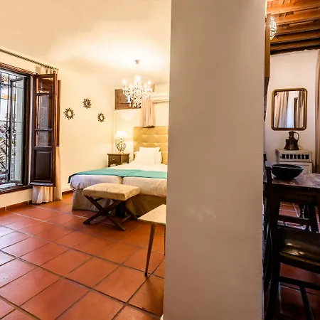 Отель Palacio De Santa Ines 3*