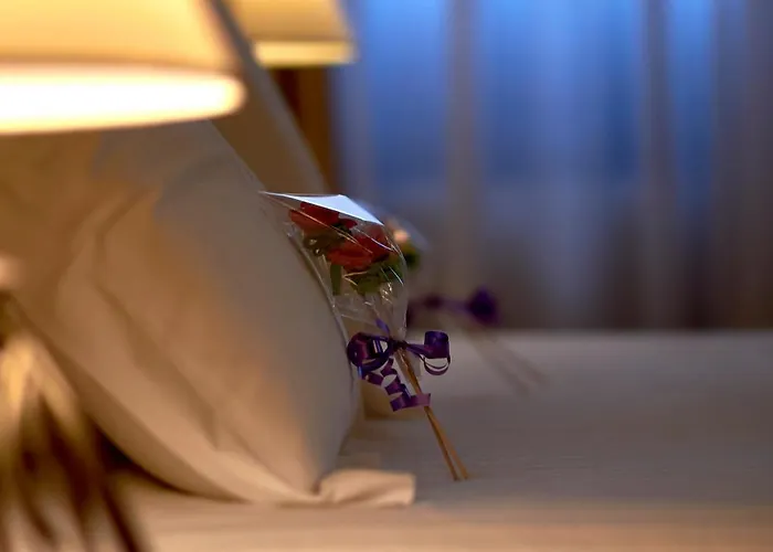 酒店 帕拉西奥德圣伊内斯酒店 3*