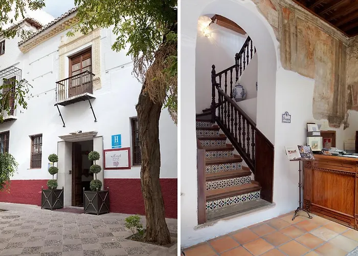 酒店 帕拉西奥德圣伊内斯酒店 3*